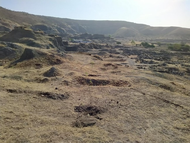 naidunia_image